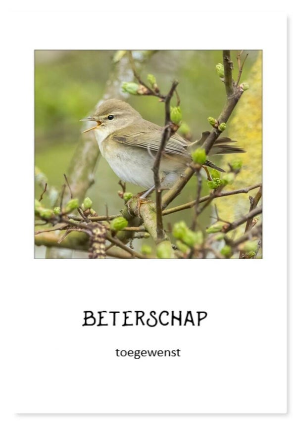 Beterschap 32