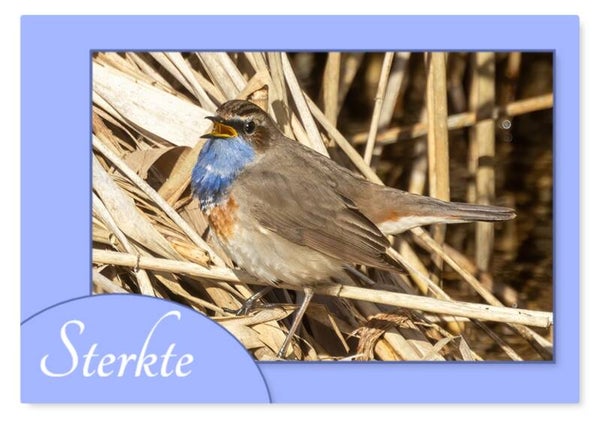 Sterkte 30