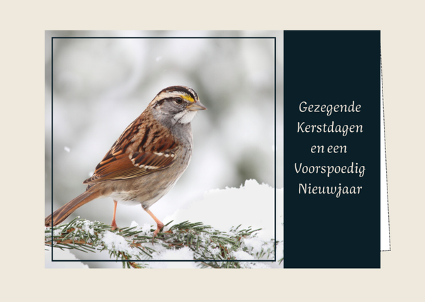Kerstkaart 16 'Gezegende kerstdagen'