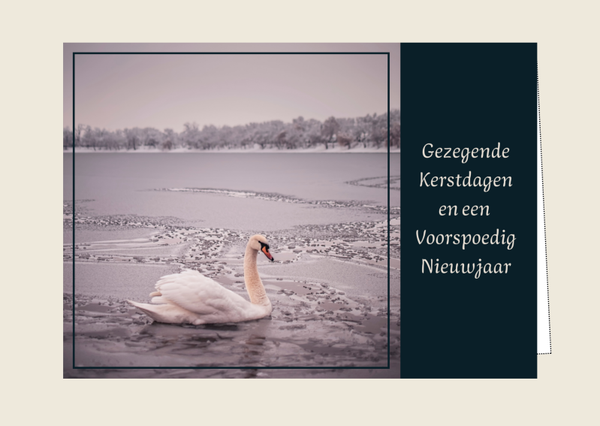 Kerstkaart 17 'Gezegende kerstdagen'