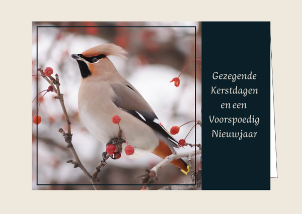 Kerstkaart 18 'Gezegende kerstdagen'