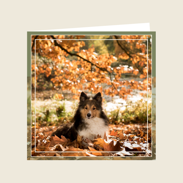 Herfstkaart 9
