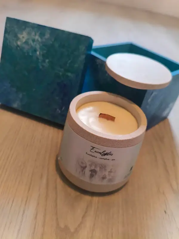 Bougie parfumée Eucalyptus 250 ml – mèche bois – fait main – coffret artisanal