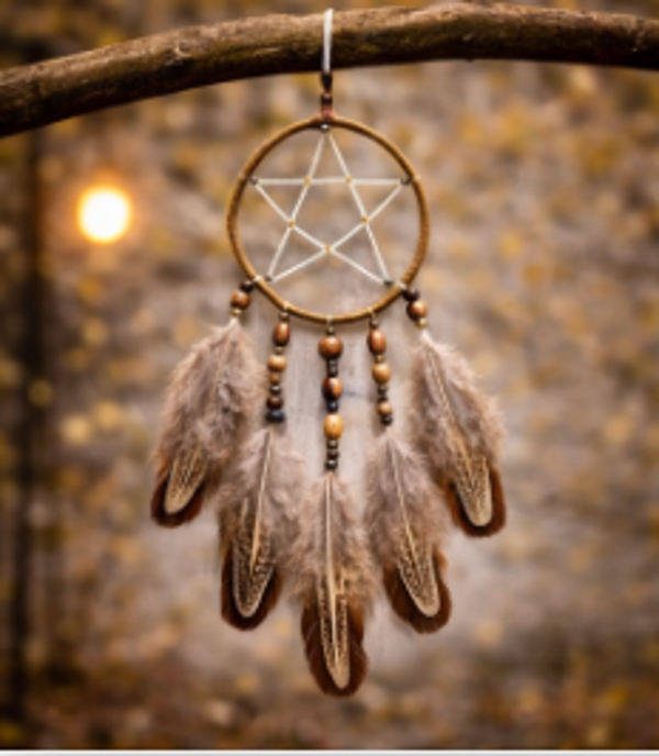 Attrape-rêves pentacle – plumes de faisan et bois de noyer