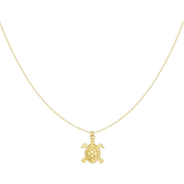 Ketting - schildpad
