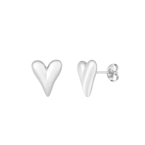 Oorbellen - hart studs