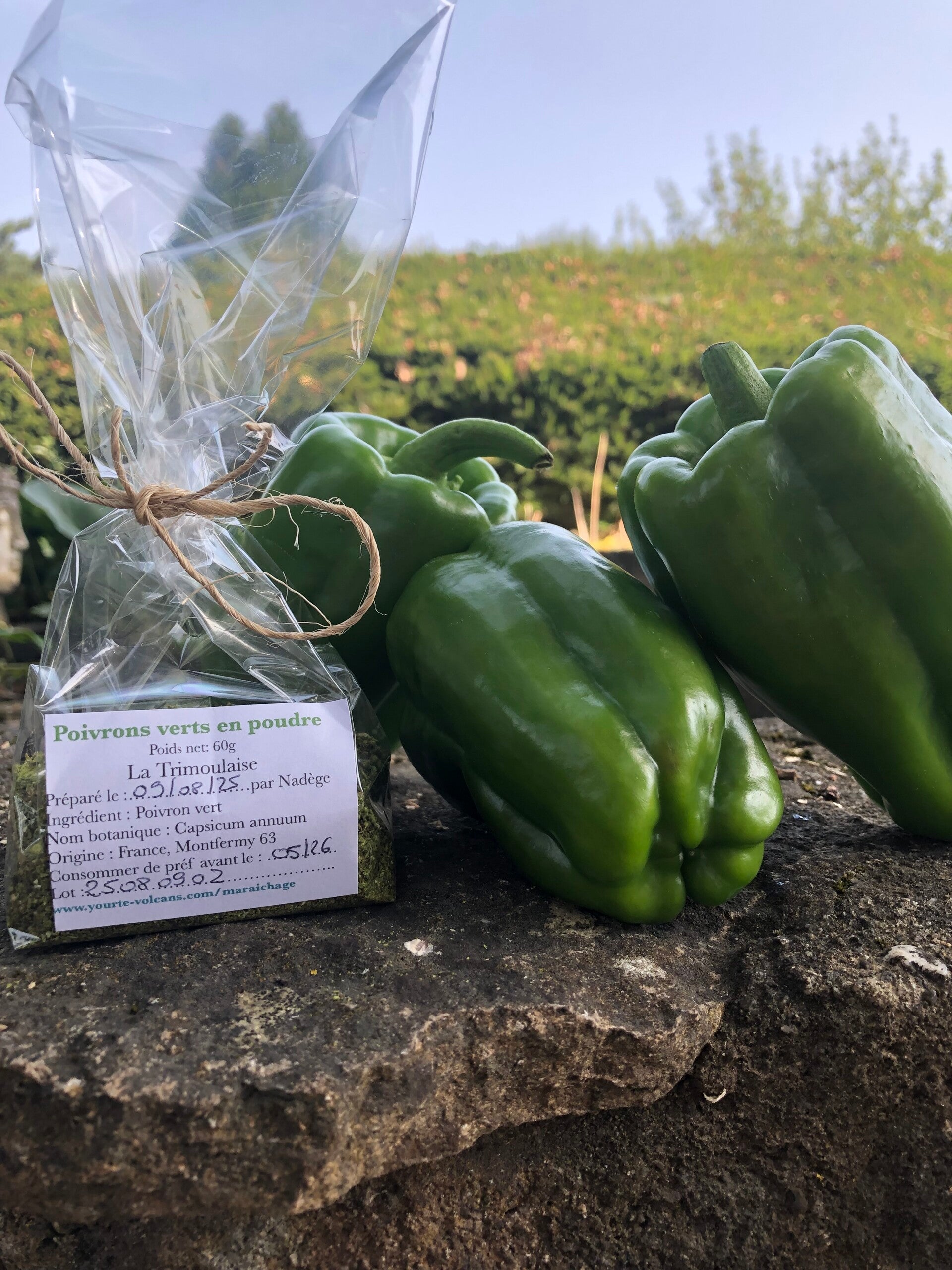 Poudre de Poivron déshydraté