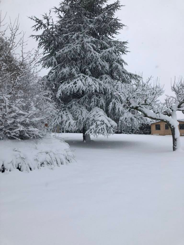 Yourte Volcans le chalet sous la neige