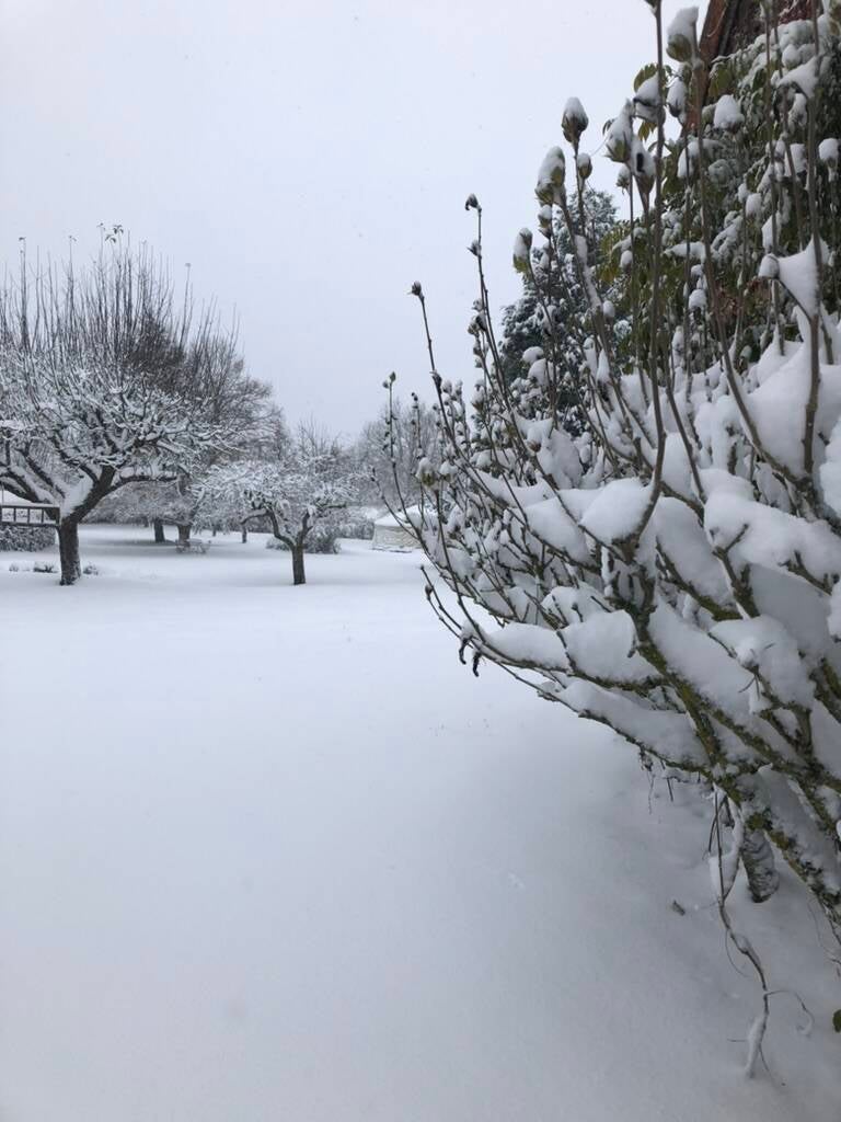 Yourte Volcans sous la neige