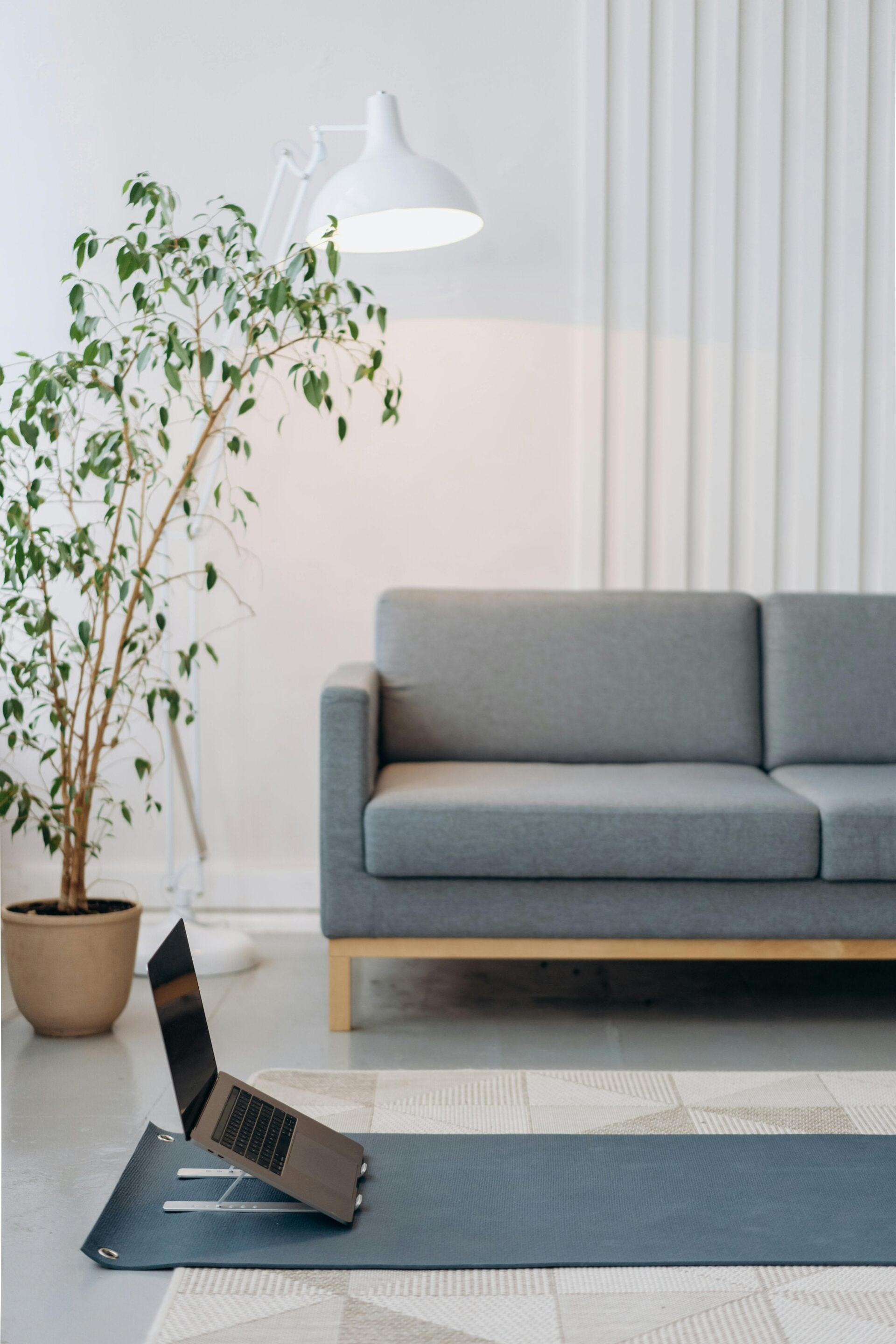 Residential cleaning services Milton and GTA