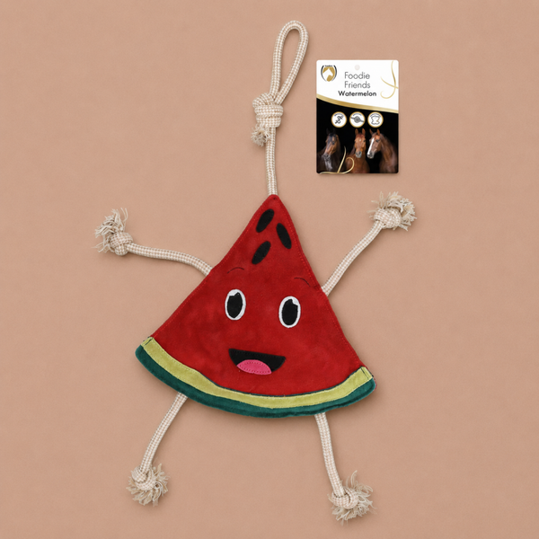 Excellent Horse Foodie Friends Watermelon