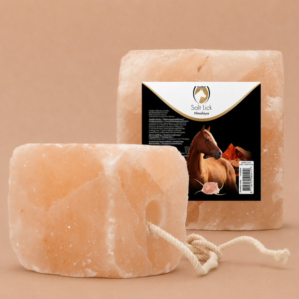 Excellent Horse Salt Lick Himalaya 2-3KG