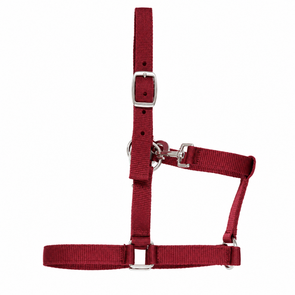 Nylon Halster Little Sizes Bordeaux