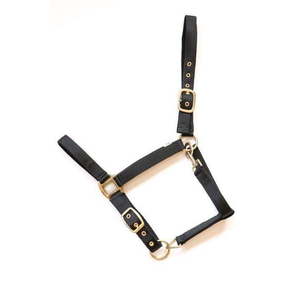 HB Nylon Halster Neopreen