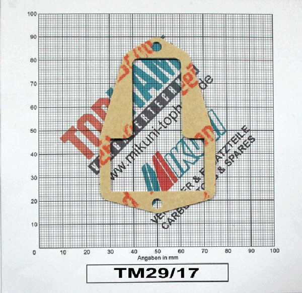 TM29/17