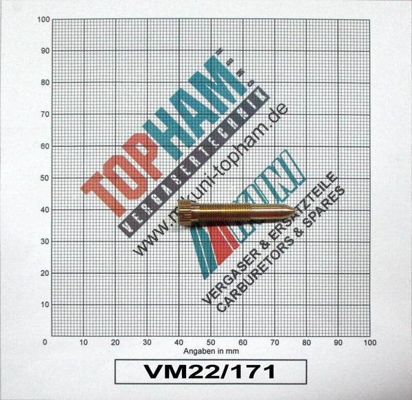 VM22/171