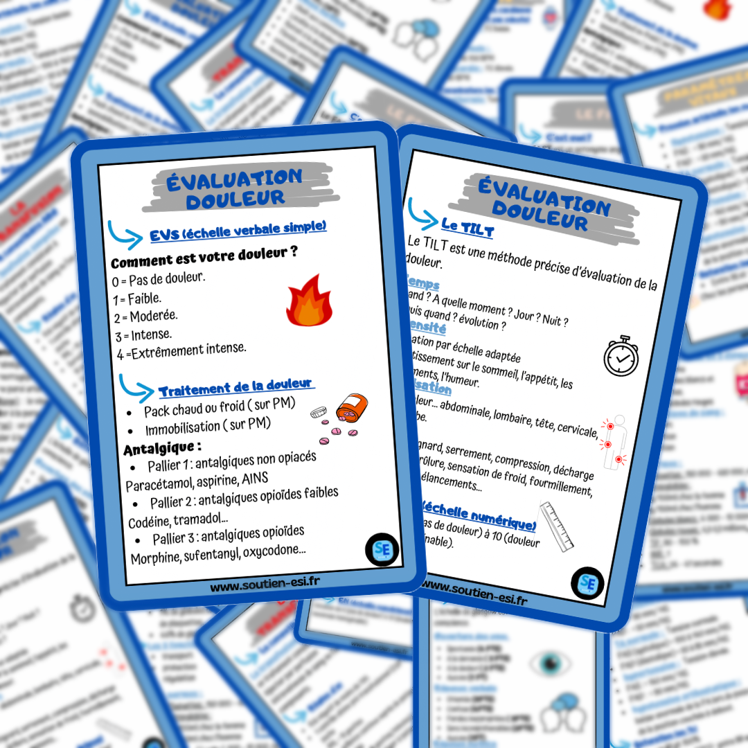 Lots de 4 fiches mémos IDE - L'indispensable