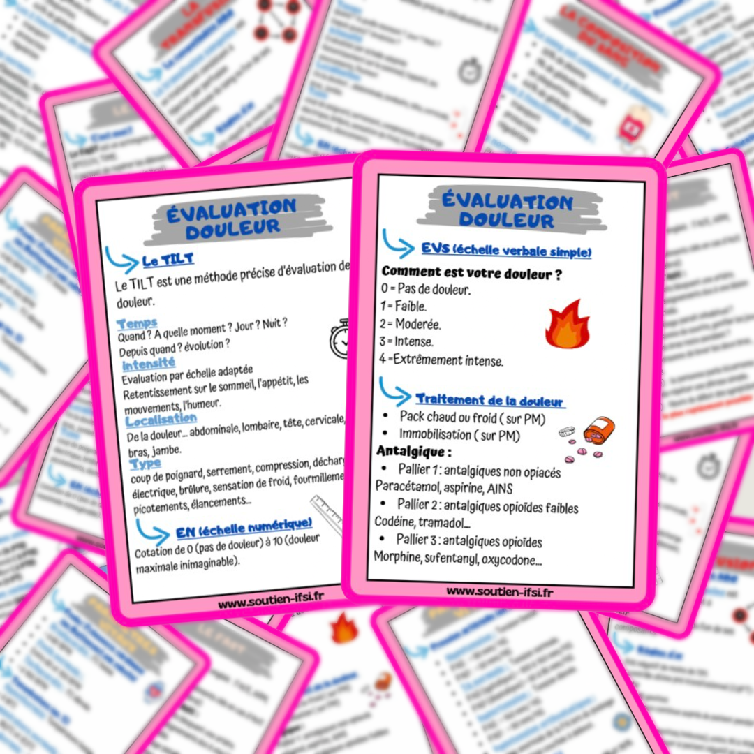 Version numérique : Lots de 4 fiches mémos IDE - L'indispensable (rose)