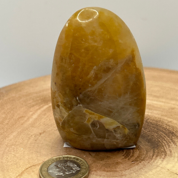 Golden Healer Free Form