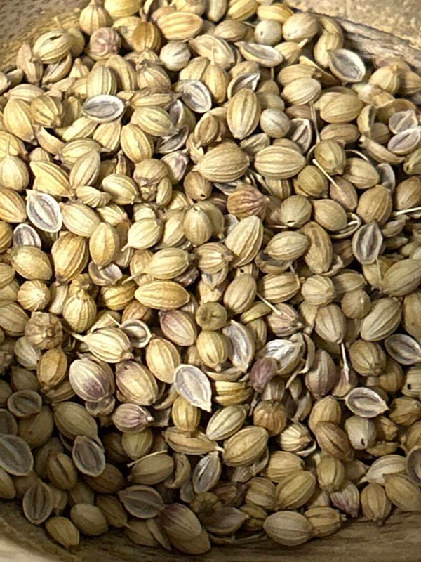 Coriander Seed