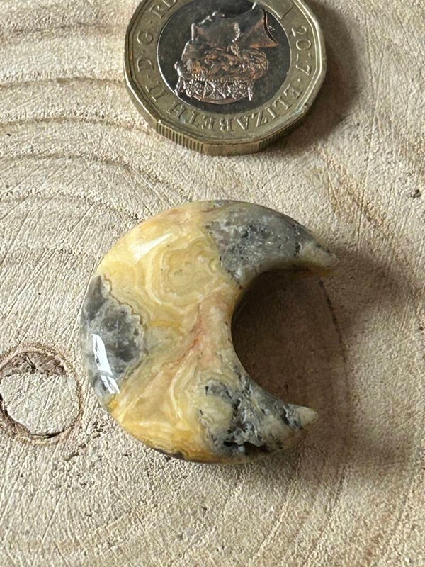 Bumblebee Jasper Moon