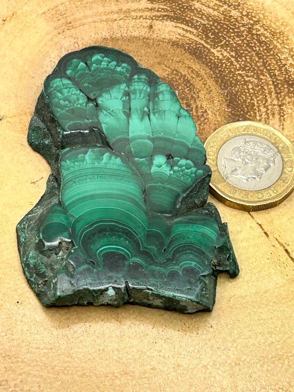 Malachite Slice -  small/medium