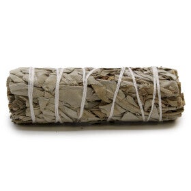 10cm White Sage Smudge