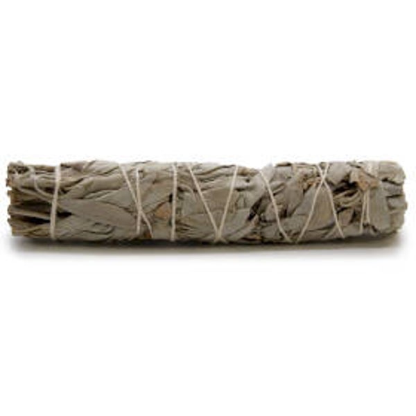 15cm White Sage Smudge