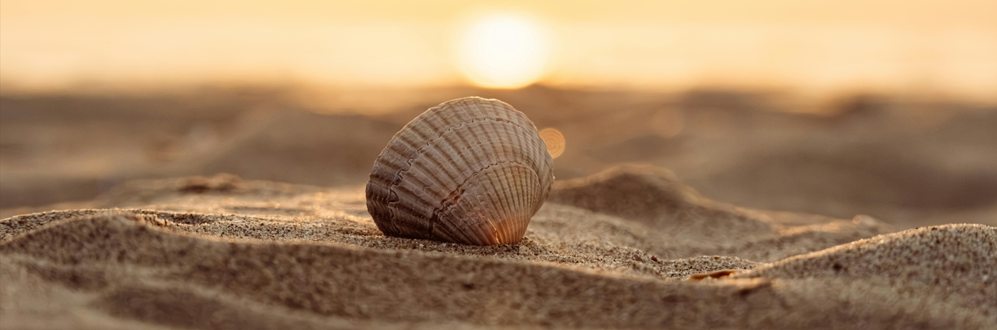 outil d’auto-apaisement émotionnel