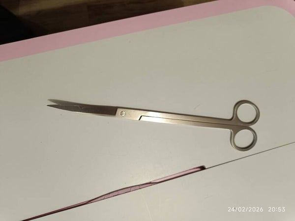 🟢 Ciseaux ondulés d’aquarium 25 cm