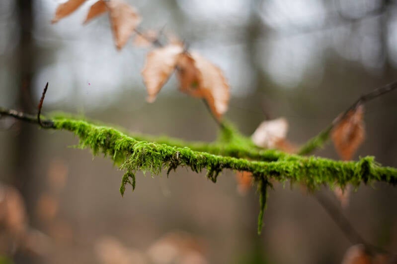 img_9180-standard.jpg