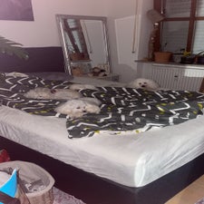 73b4abf5-d4b7-4411-84c3-69f5cc1b0130-standard.jpg