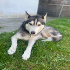 img_1769-standard.jpg
