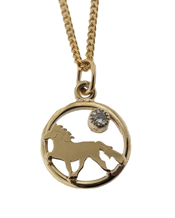 G10-103 14 krt. goud IJslander Tölt hanger zirconia