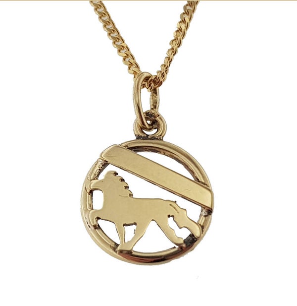 G10-104 14 krt. goud IJslander Tölt hanger