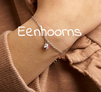Eenhoorns kindersieraden