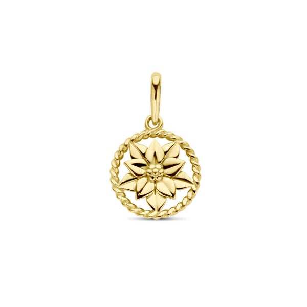 Hanger kerstster