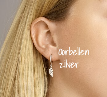 Oorbellen zilver