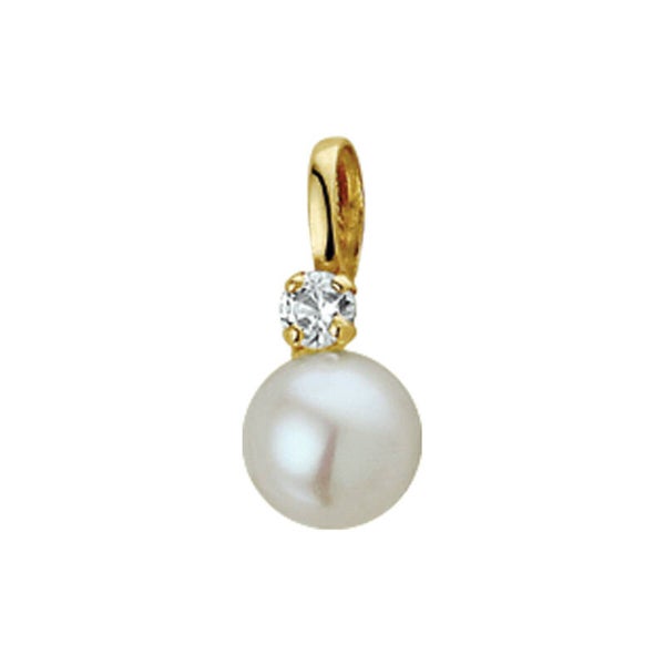 Hanger parel en zirconia