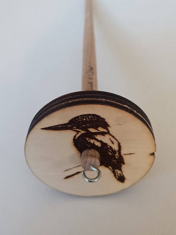 Ijsvogel 1