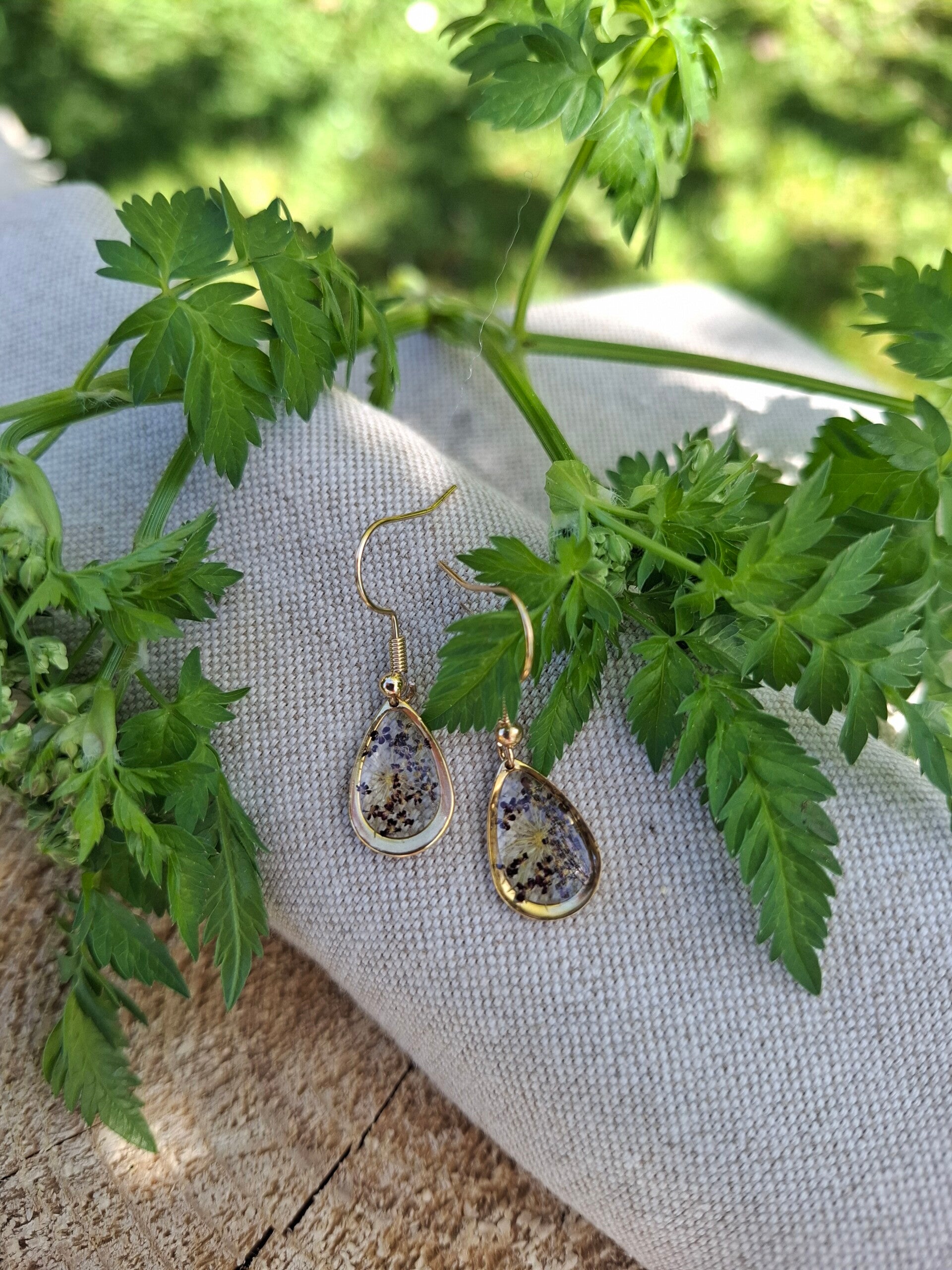 Boucles d’oreilles fleurs de Daucus carota 'Dara'