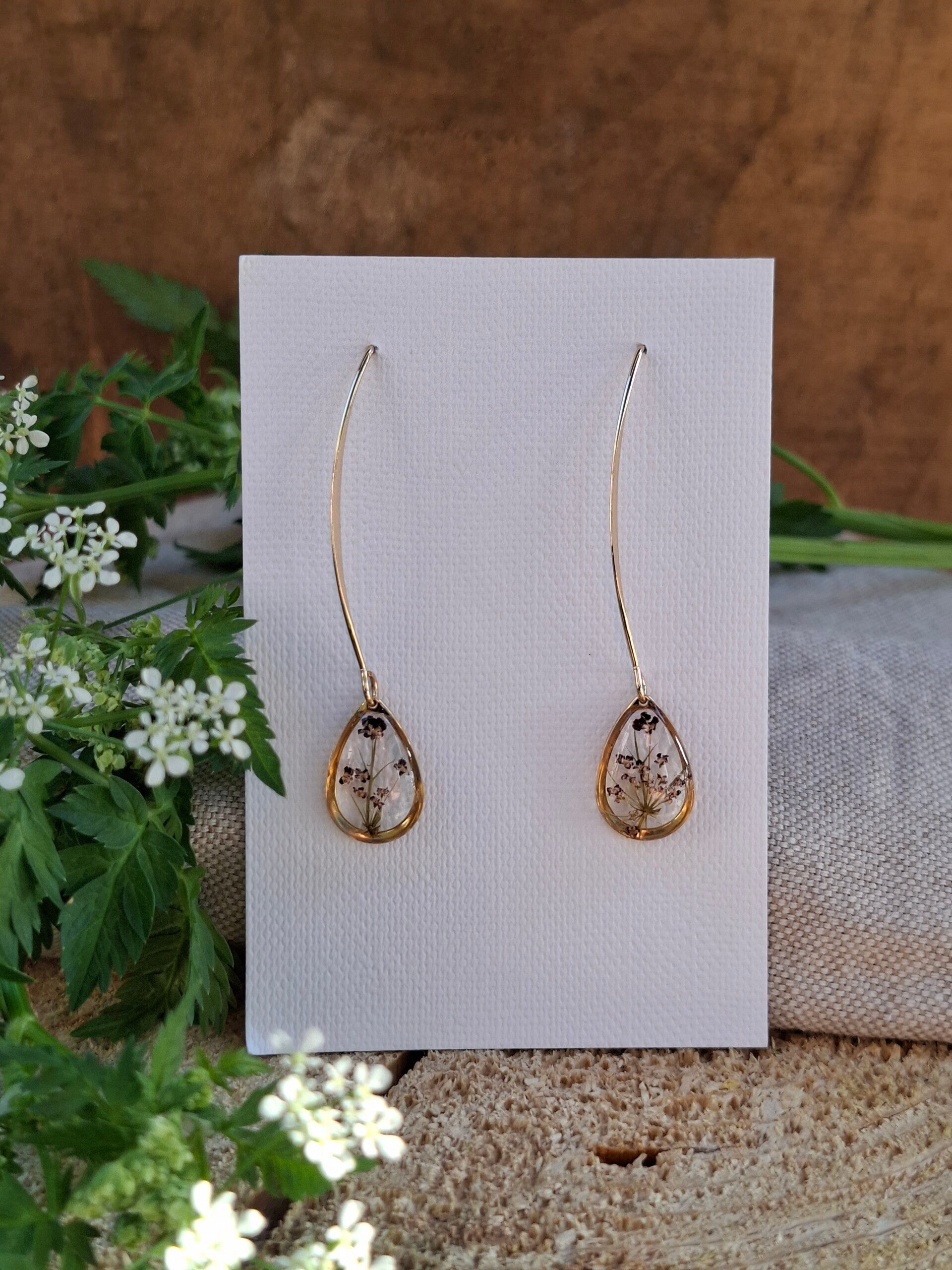 Boucles d’oreilles fleurs de Daucus carota 'Dara'