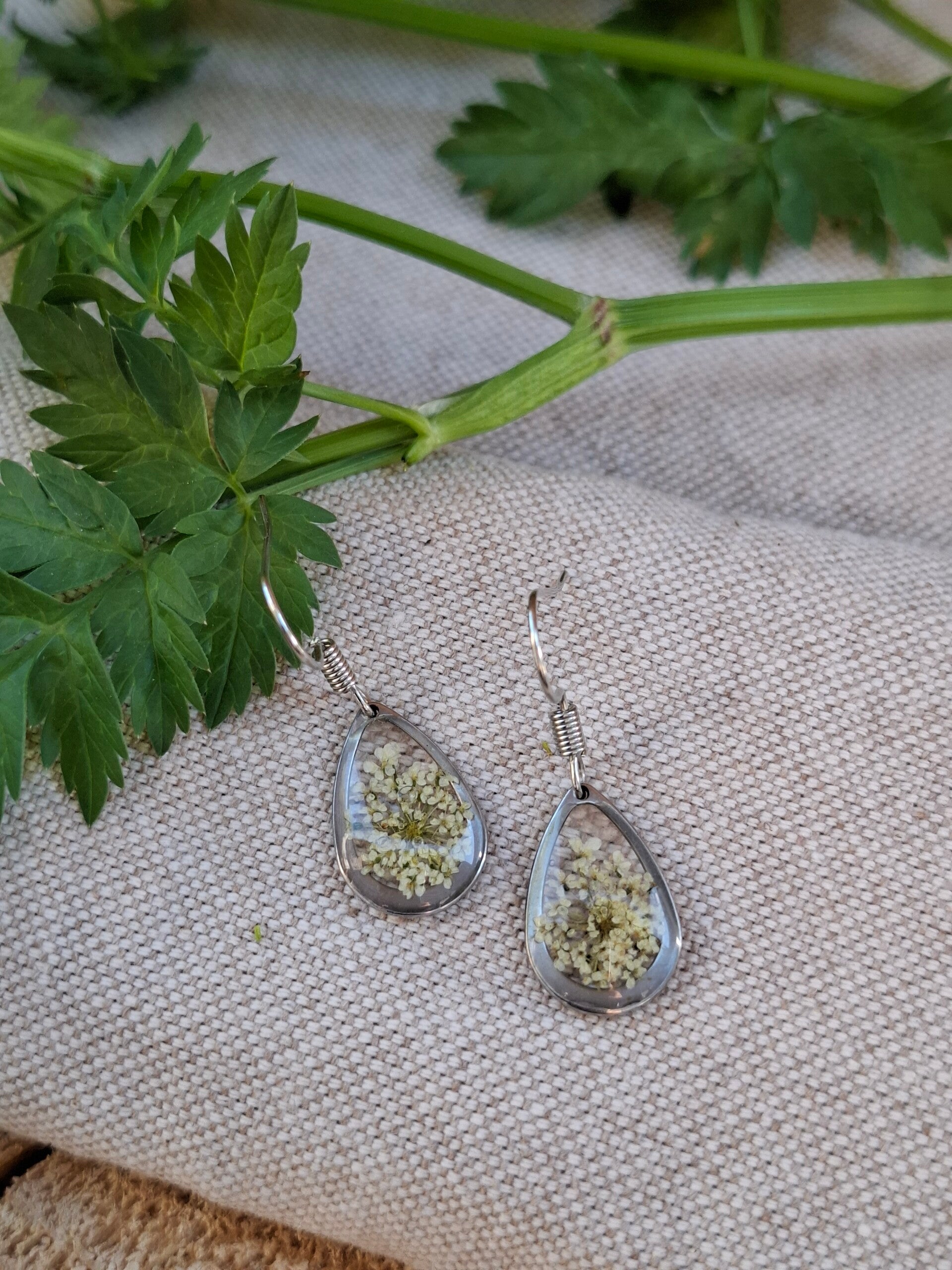 Boucles d’oreilles Daucus carota