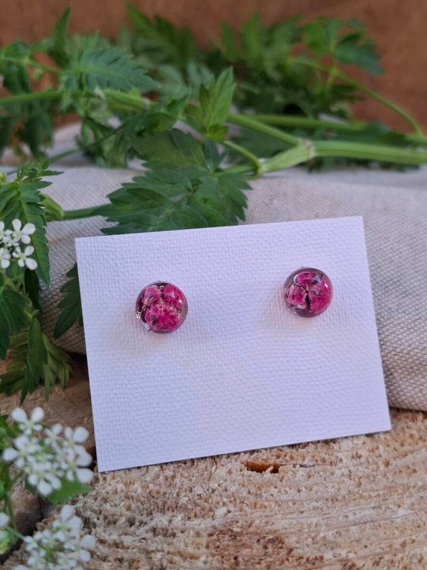 Puces fleurs de gypsophile