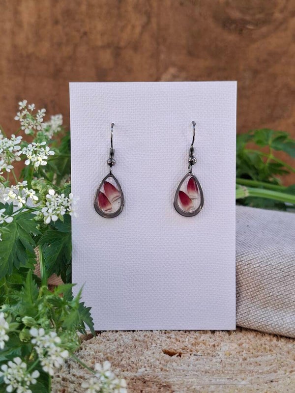 Boucles d’oreilles fleurs d'Helichrysum