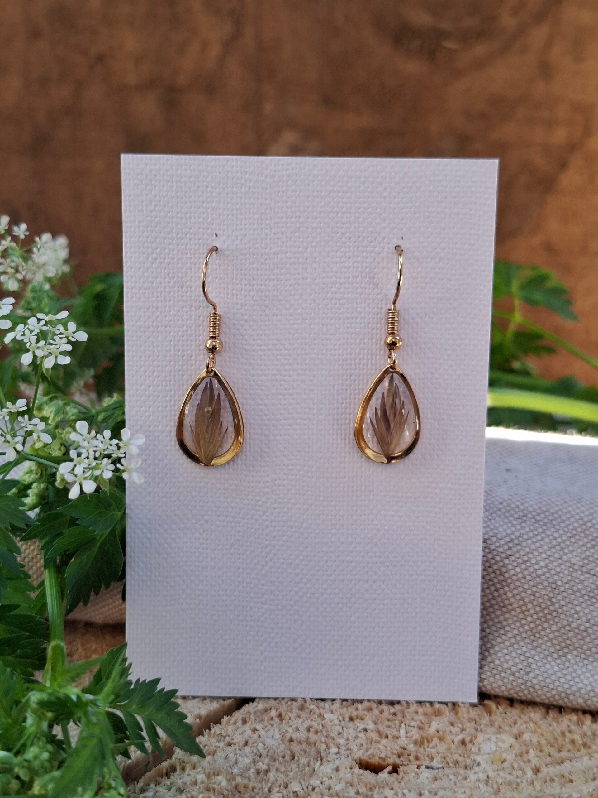 Boucles d’oreilles Chasmantium latifolium