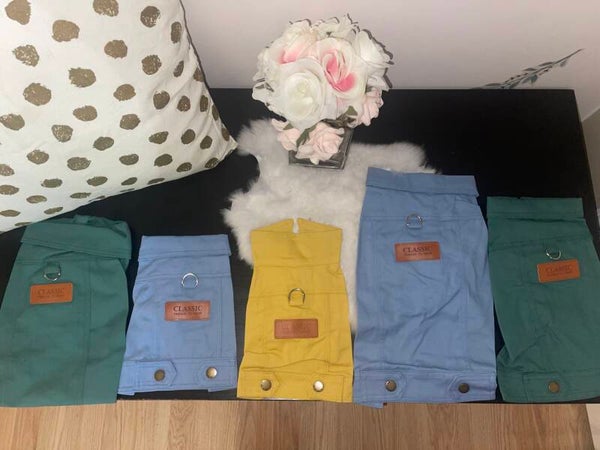 Cute pet jeans jacket