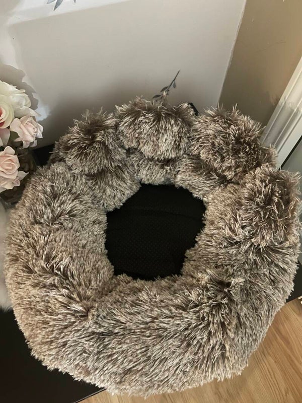 Cutie paw bed