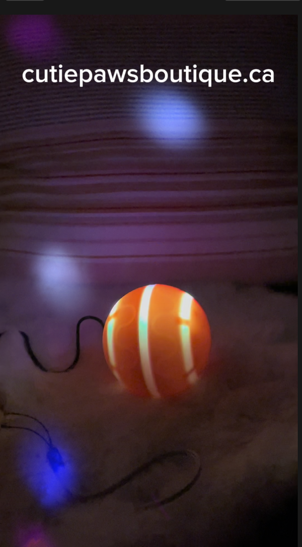 Led pet ball