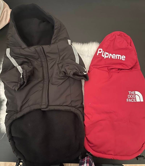 Cutie Dog Face Jacket